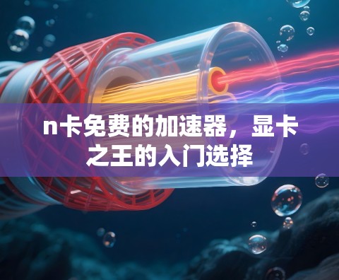 n卡免费的加速器，显卡之王的入门选择