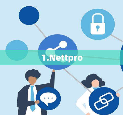 1.Nettpro