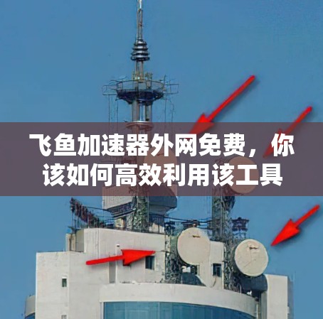 飞鱼加速器外网免费,你该如何高效利用该工具? 飞鱼加速器外网免费,你该如何高效利用该工具?