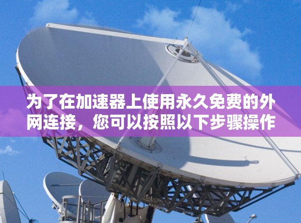 为了在加速器上使用永久免费的外网连接,您可以按照以下步骤操作