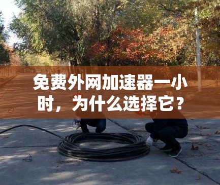 免费外网加速器一小时，为什么选择它？