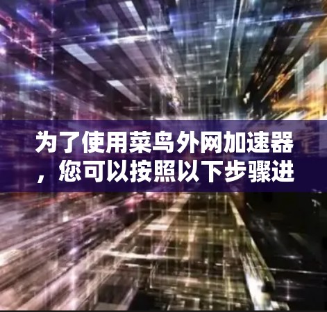 为了使用菜鸟外网加速器，您可以按照以下步骤进行操作