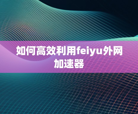 如何高效利用feiyu外网加速器 如何高效利用feiyu外网加速器