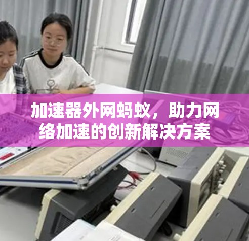 加速器外网蚂蚁，助力网络加速的创新解决方案