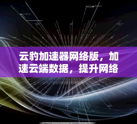 云豹加速器网络版,加速云端数据,提升网络速度 云豹加速器网络版,加速云端数据,提升网络速度