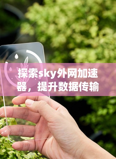 探索sky外网加速器，提升数据传输效率的科技革新