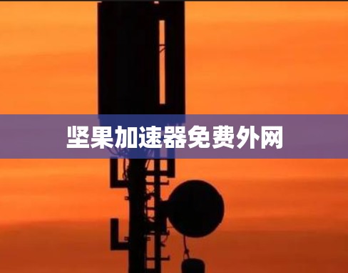 坚果加速器免费外网