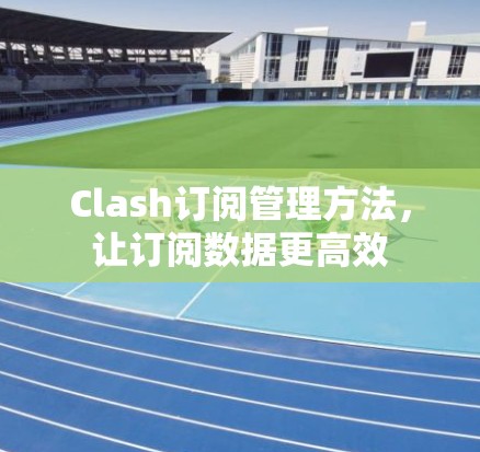Clash订阅管理方法，让订阅数据更高效