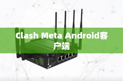 Clash Meta Android客户端 Clash Meta Android客户端