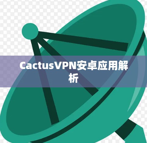 CactusVPN安卓应用解析 CactusVPN安卓应用解析