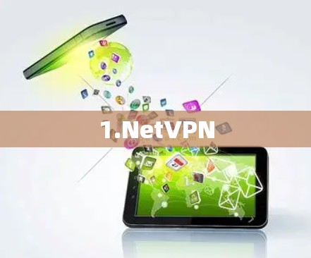 1.NetVPN