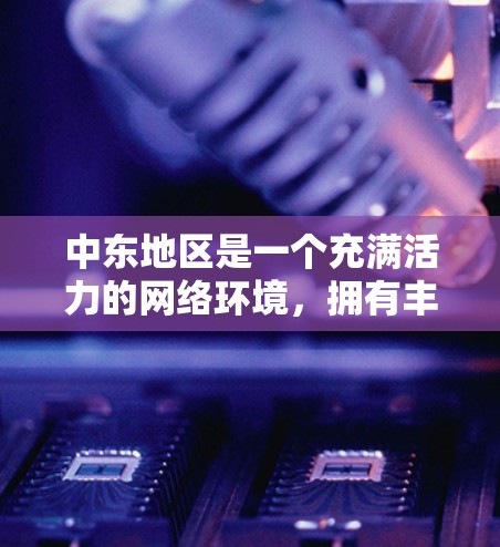 中东地区是一个充满活力的网络环境，拥有丰富的网络工具和基础设施。以下是一些中东网络工具和相关的网络环境情况