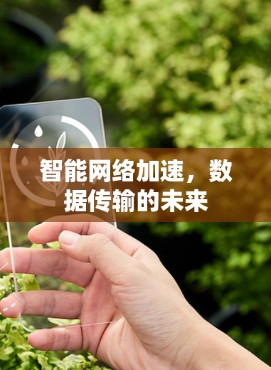智能网络加速,数据传输的未来 智能网络加速,数据传输的未来