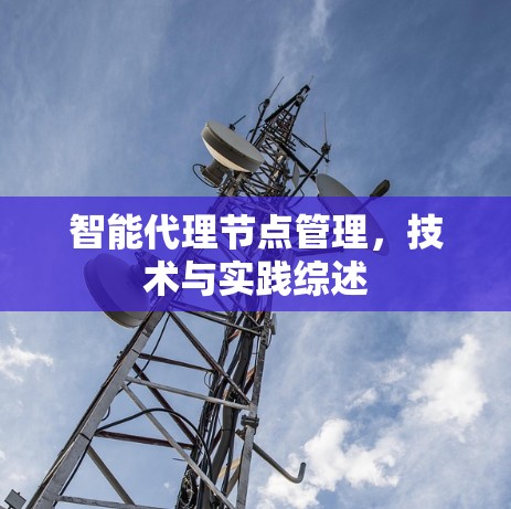 智能代理节点管理，技术与实践综述