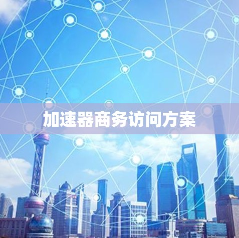 加速器商务访问方案