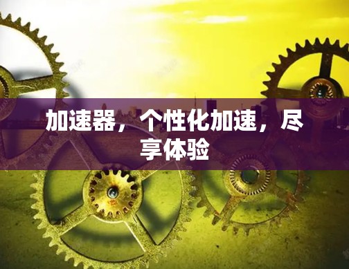加速器,个性化加速,尽享体验 加速器,个性化加速,尽享体验