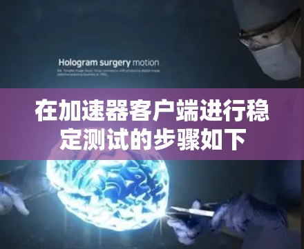 在加速器客户端进行稳定测试的步骤如下 在加速器客户端进行稳定测试的步骤如下