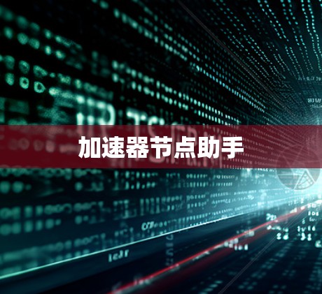 加速器节点助手