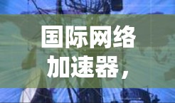 国际网络加速器，助力您的网络服务升级