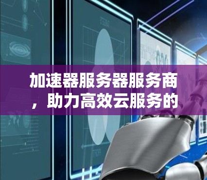 加速器服务器服务商,助力高效云服务的高质量发展 加速器服务器服务商,助力高效云服务的高质量发展