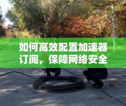 如何高效配置加速器订阅,保障网络安全与性能 如何高效配置加速器订阅,保障网络安全与性能