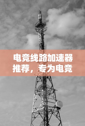 电竞线路加速器推荐,专为电竞打造的高效连接 电竞线路加速器推荐,专为电竞打造的高效连接