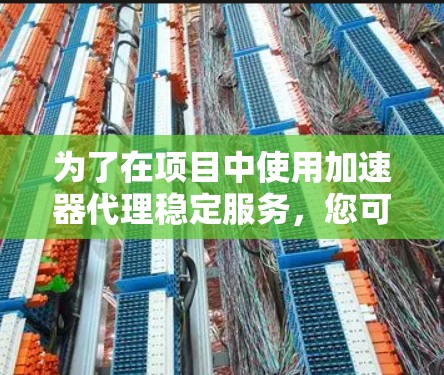 为了在项目中使用加速器代理稳定服务，您可以按照以下步骤进行规划和实施