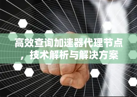 高效查询加速器代理节点,技术解析与解决方案 高效查询加速器代理节点,技术解析与解决方案