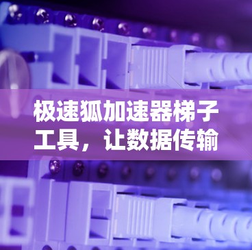 极速狐加速器梯子工具,让数据传输更高效 极速狐加速器梯子工具,让数据传输更高效