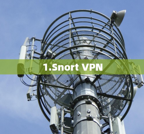 1.Snort VPN
