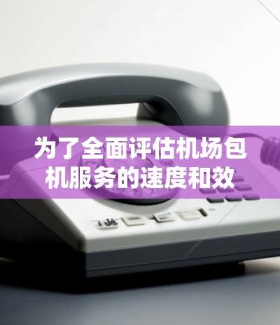 为了全面评估机场包机服务的速度和效率，以下是详细的步骤和建议