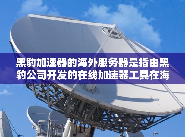黑豹加速器的海外服务器是指由黑豹公司开发的在线加速器工具在海外地区的服务器。这些服务器通常位于不同国家或地区的服务器上,旨在满足用户在这些地区的加速需求。以下是一些关于黑豹海外服务器的信息 黑豹加速器的海外服务器是指由黑豹公司开发的在线加速器工具在海外地区的服务器。这些服务器通常位于不同国家或地区的服务器上,旨在满足用户在这些地区的加速需求。以下是一些关于黑豹海外服务器的信息