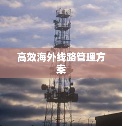 高效海外线路管理方案