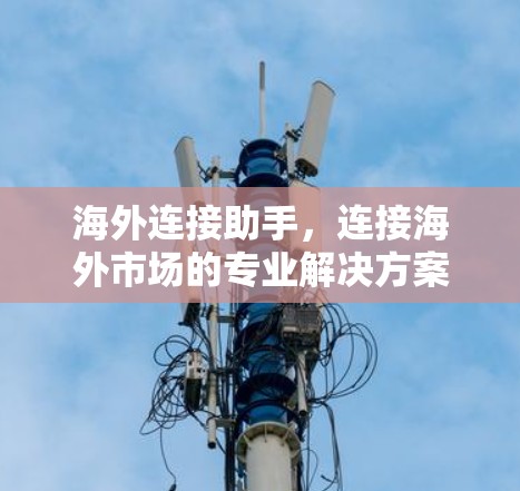 海外连接助手,连接海外市场的专业解决方案 海外连接助手,连接海外市场的专业解决方案