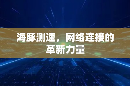 海豚测速,网络连接的革新力量 海豚测速,网络连接的革新力量