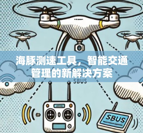 海豚测速工具,智能交通管理的新解决方案 海豚测速工具,智能交通管理的新解决方案