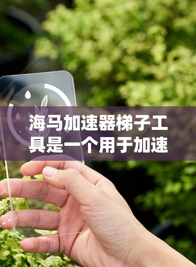 海马加速器梯子工具是一个用于加速特定设备或系统并进行数据处理和安全防护的设备工具。它通常配备梯子式的结构,方便用户操作加速和处理功能。以下是详细的使用步骤指南 海马加速器梯子工具是一个用于加速特定设备或系统并进行数据处理和安全防护的设备工具。它通常配备梯子式的结构,方便用户操作加速和处理功能。以下是详细的使用步骤指南