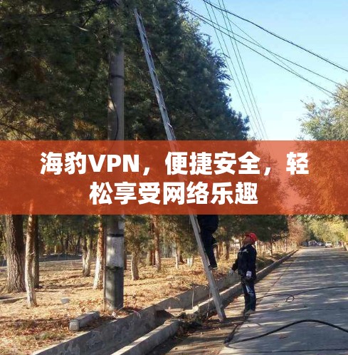 海豹VPN，便捷安全，轻松享受网络乐趣
