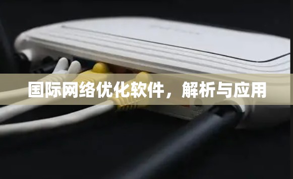 国际网络优化软件,解析与应用 国际网络优化软件,解析与应用