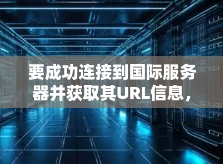 要成功连接到国际服务器并获取其URL信息，可以按照以下步骤进行