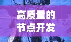 高质量的节点开发工具（Node.js开发工具）通常指的是那些能够高效开发、维护和扩展的代码库和框架。以下是一些常见的高质量节点开发工具及其特点