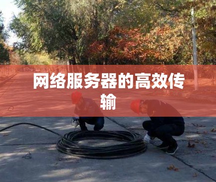 网络服务器的高效传输