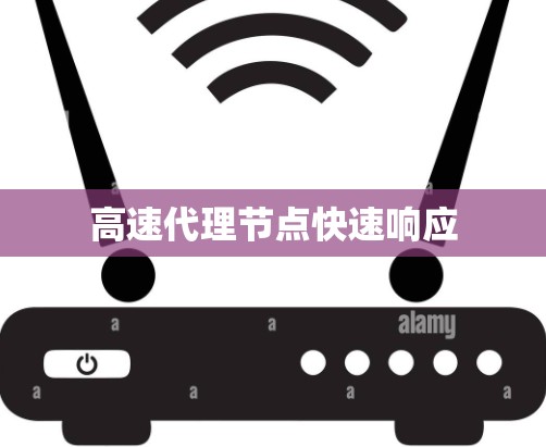 高速代理节点快速响应